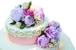 Pink and White Wedding Cake topped with Fresh Peonnies